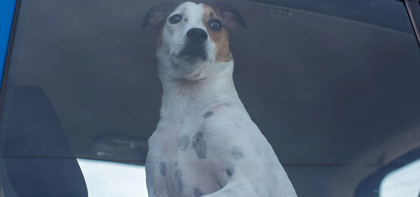 Car Lockout Solutions in Kerman, California